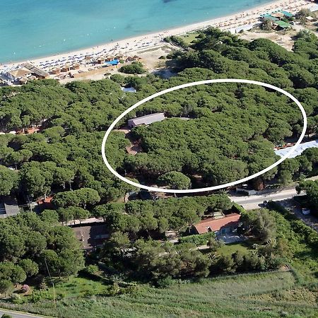 Hotel Villa Nettuno Marina di Campo Eksteriør billede